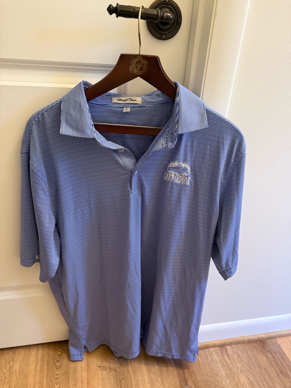 Light Blue Men's Striped Polo with Subtle Logo